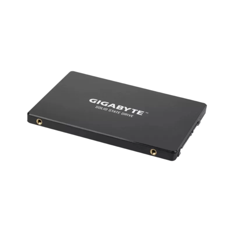 GP-GSTFS31256GTND-2